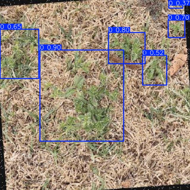 Annotated Image