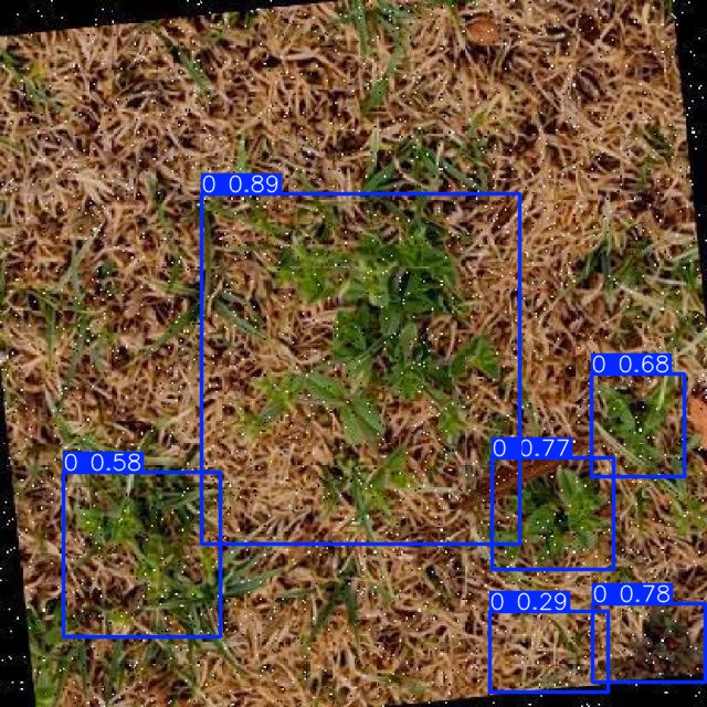 Annotated Image