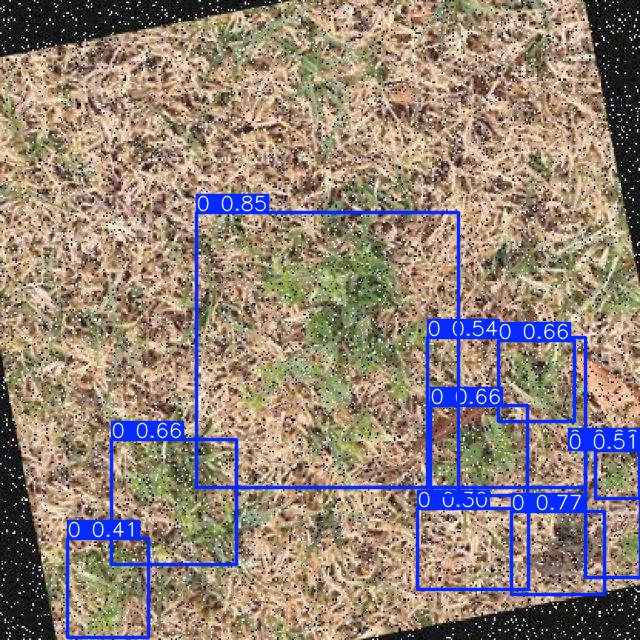 Annotated Image