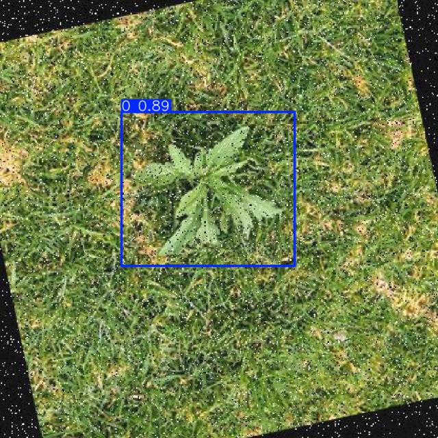 Annotated Image