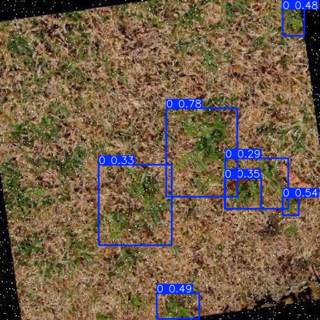Annotated Image