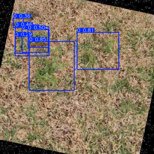 Annotated Image