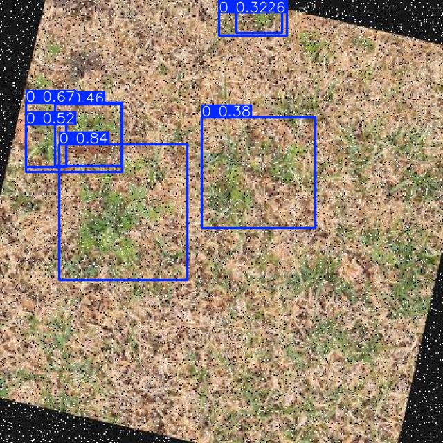 Annotated Image