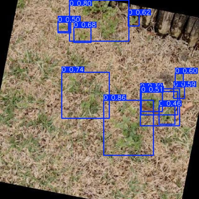 Annotated Image