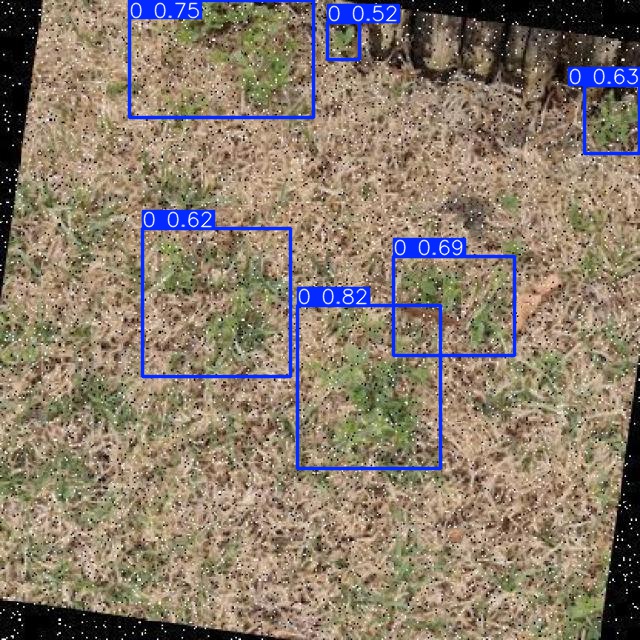 Annotated Image