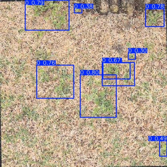 Annotated Image