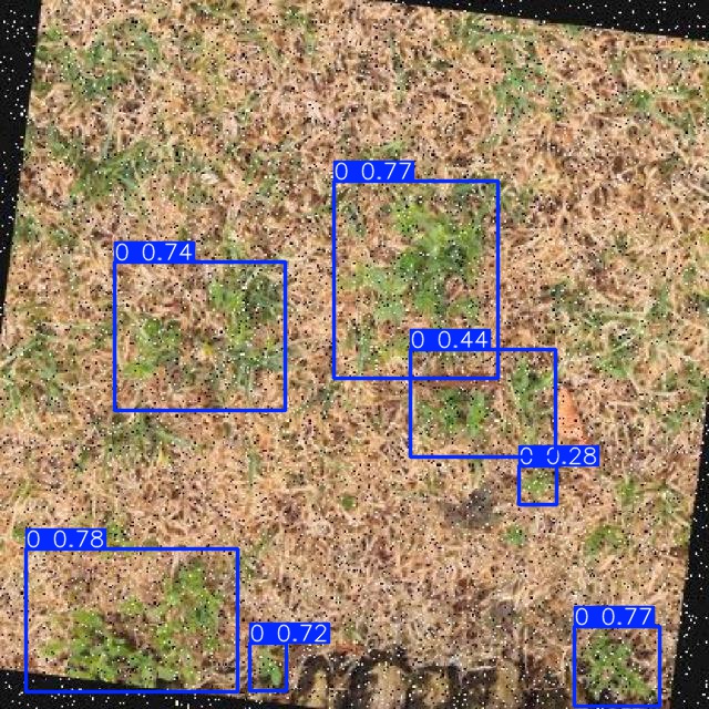 Annotated Image