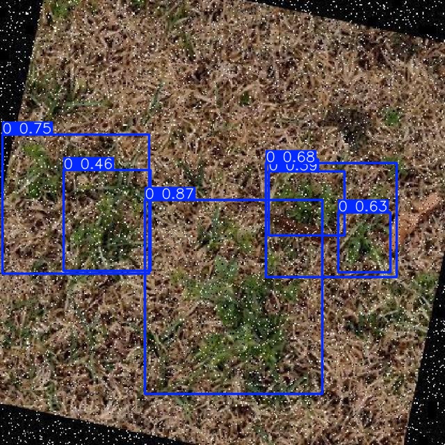 Annotated Image
