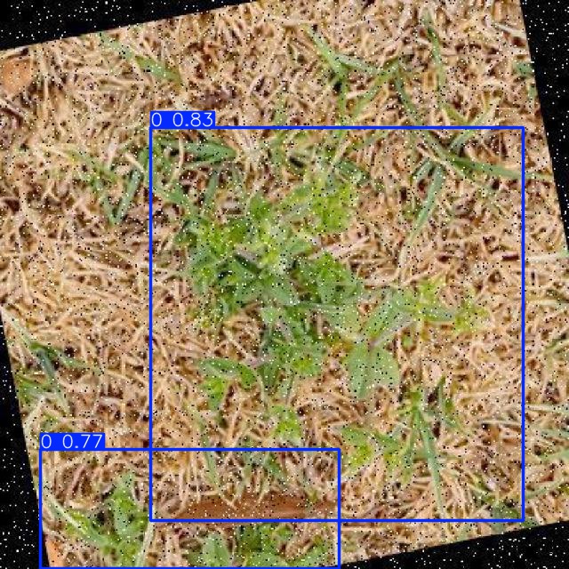 Annotated Image