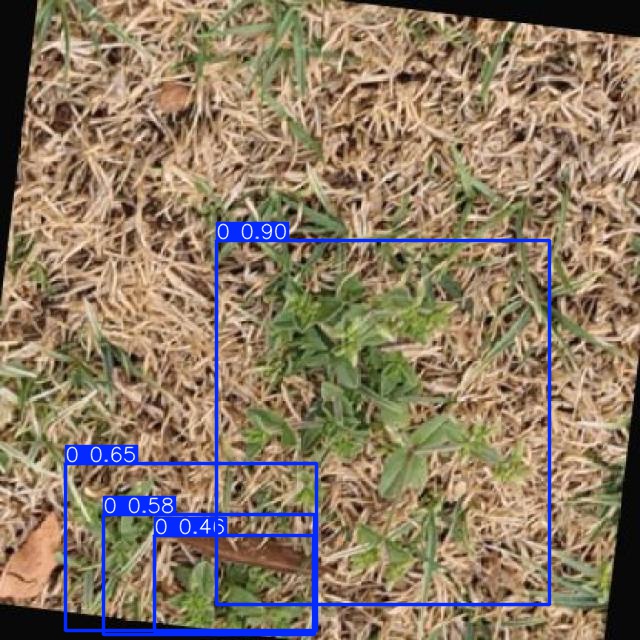 Annotated Image