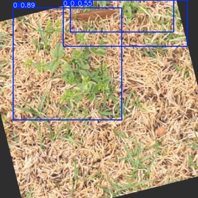 Annotated Image