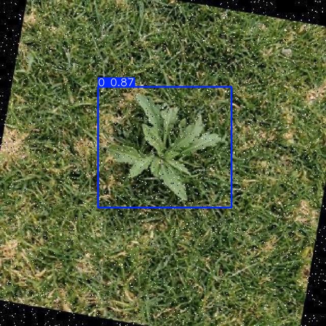 Annotated Image