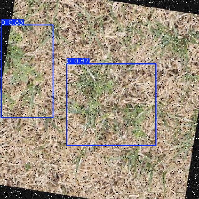 Annotated Image