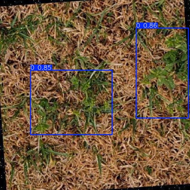 Annotated Image