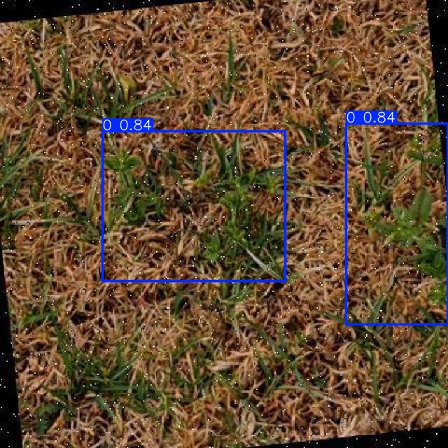 Annotated Image