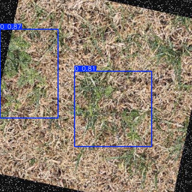 Annotated Image