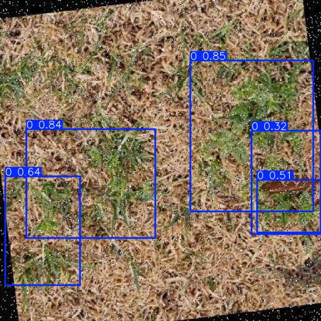Annotated Image