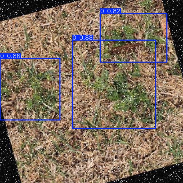 Annotated Image