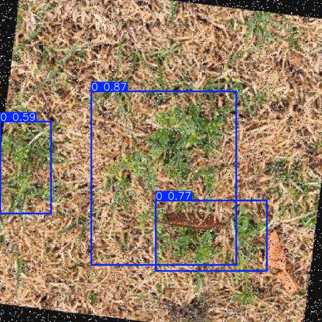 Annotated Image