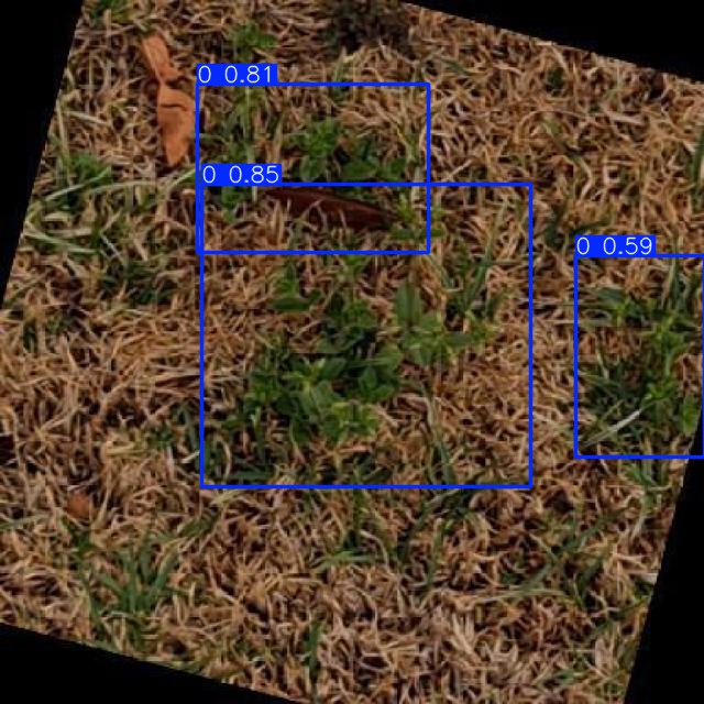 Annotated Image
