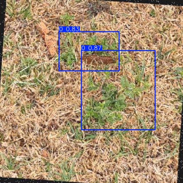 Annotated Image
