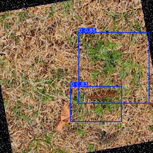 Annotated Image