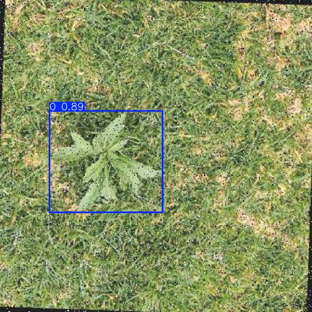 Annotated Image