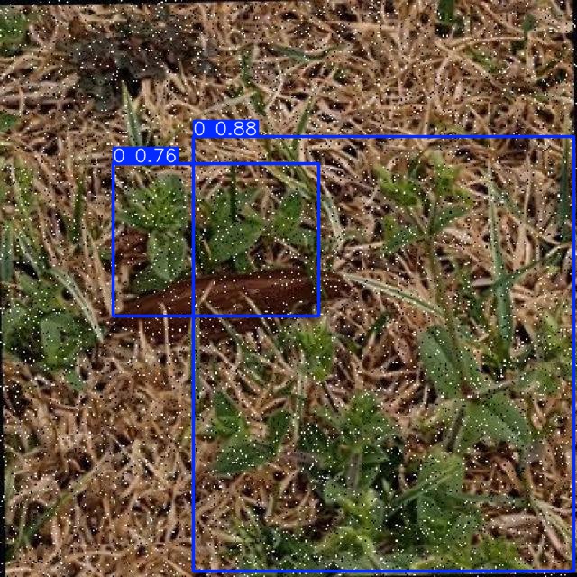 Annotated Image