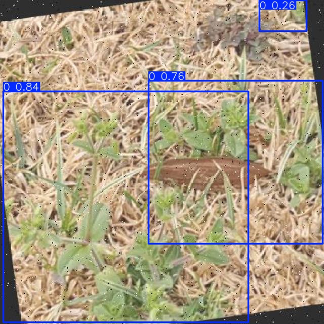 Annotated Image