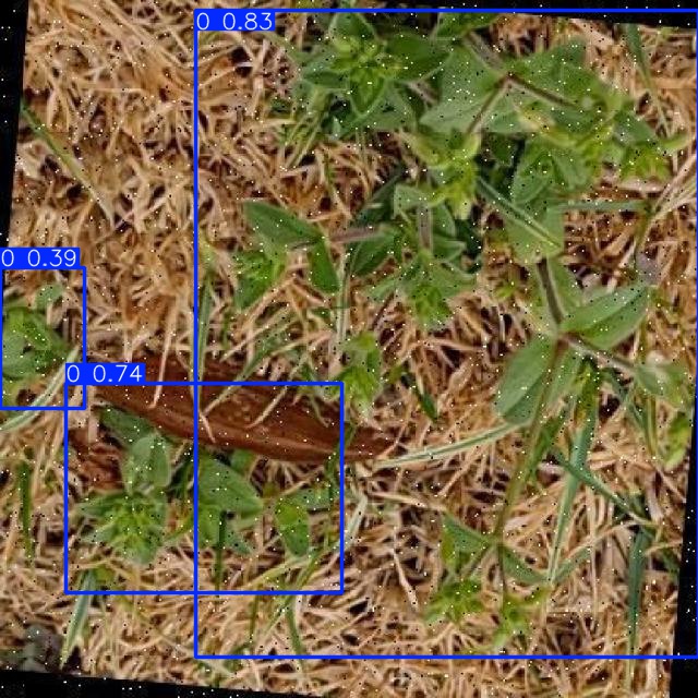 Annotated Image