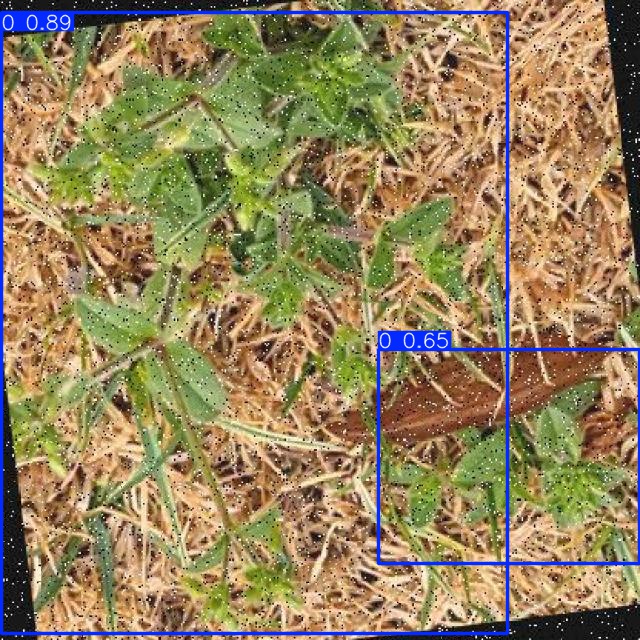 Annotated Image