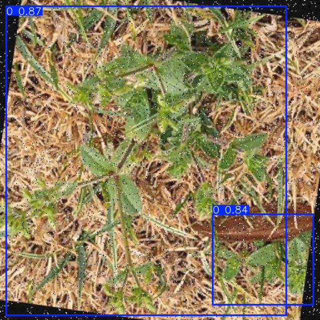 Annotated Image