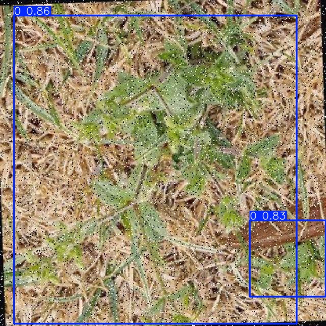 Annotated Image