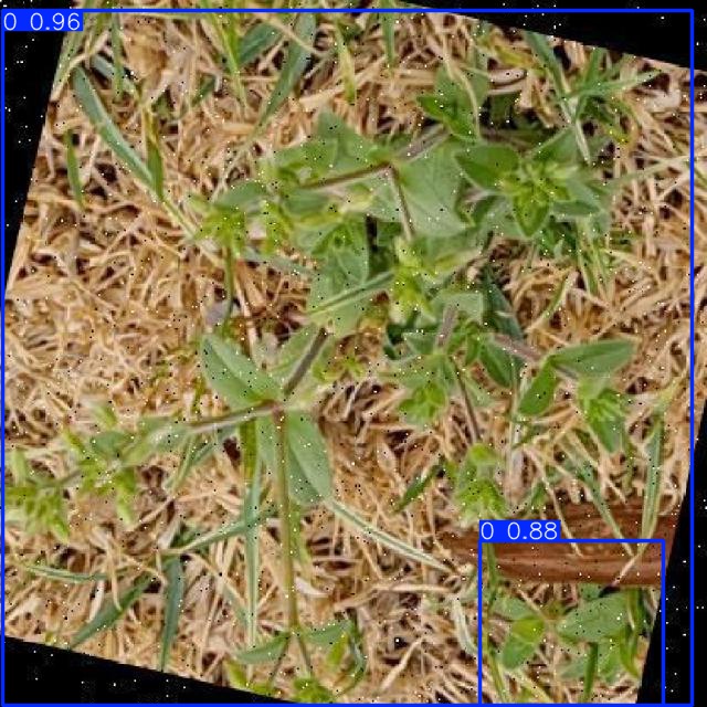 Annotated Image