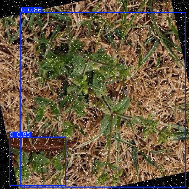 Annotated Image