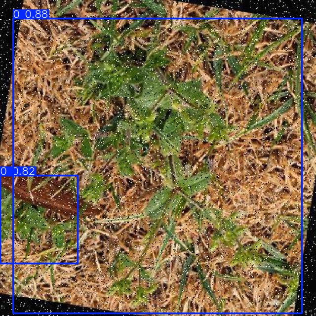 Annotated Image