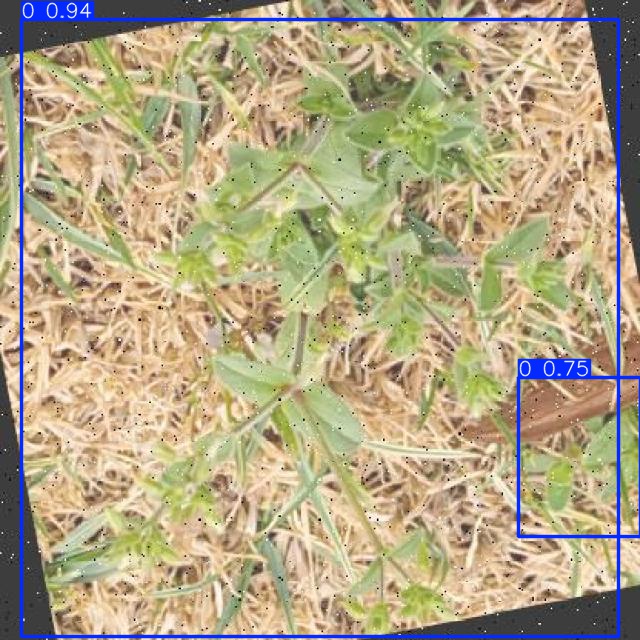 Annotated Image