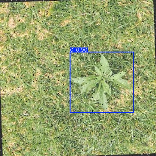 Annotated Image