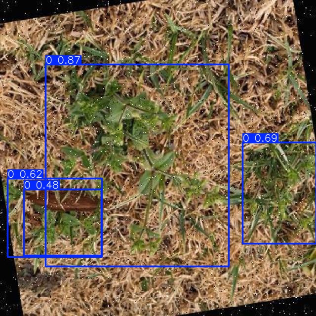 Annotated Image