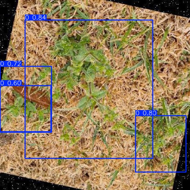 Annotated Image