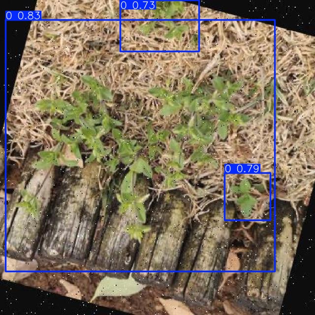 Annotated Image