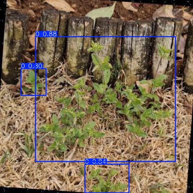 Annotated Image