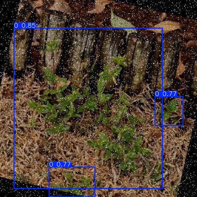 Annotated Image