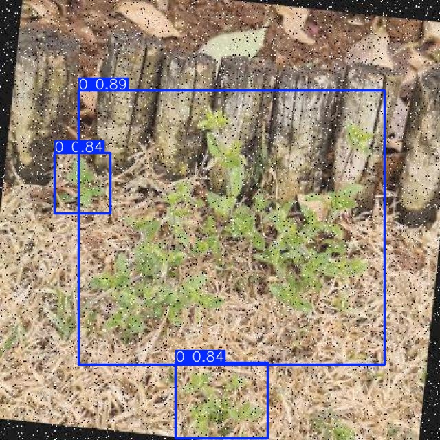 Annotated Image