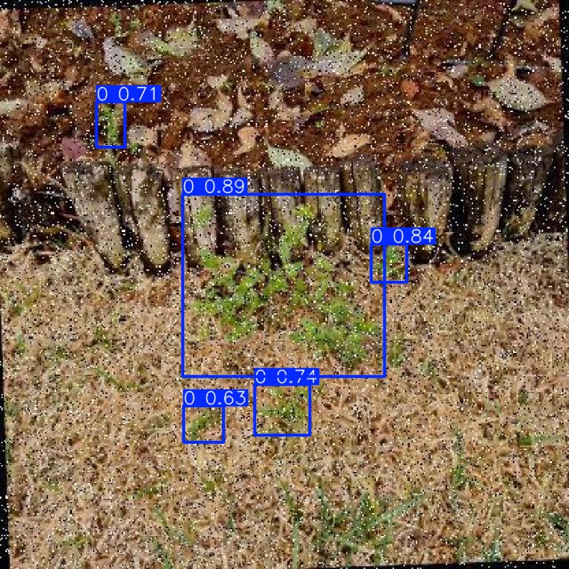 Annotated Image
