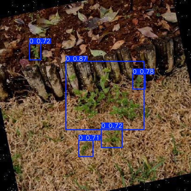 Annotated Image