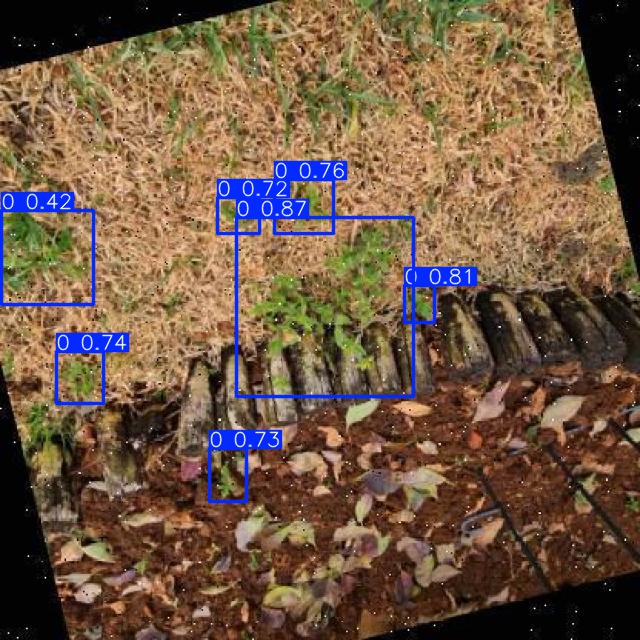 Annotated Image