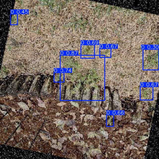 Annotated Image