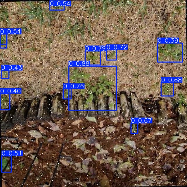 Annotated Image