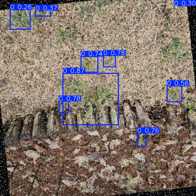 Annotated Image